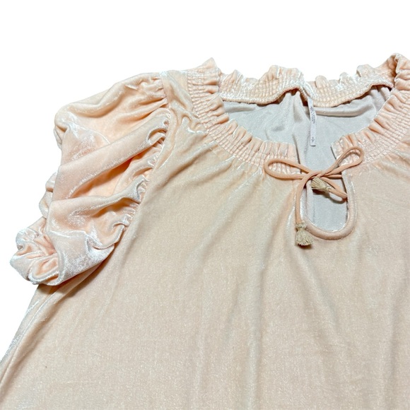NWOT Free People Terese Velour Crop Top Pink Tint Flutter Balloon Sleeves Size S - Picture 7 of 13